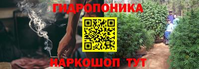 трава Лесосибирск