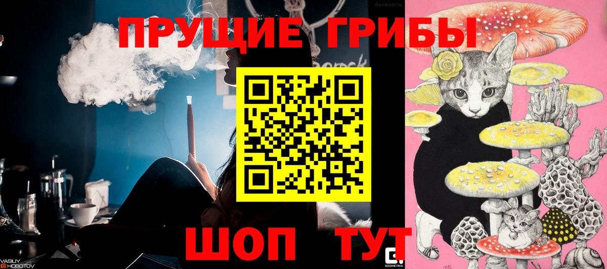 Галлюциногенные грибы MAGIC MUSHROOMS Торжок