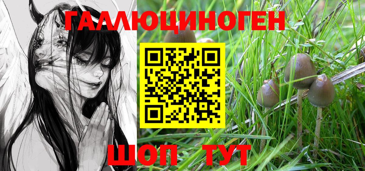 Псилоцибиновые грибы Cubensis  Галлюциногенные грибы Psilocybine cubensis  Торжок  Вход с VPN 